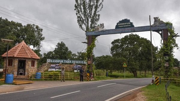 <div class="paragraphs"><p>Bandipur National Park entrance gate</p></div>