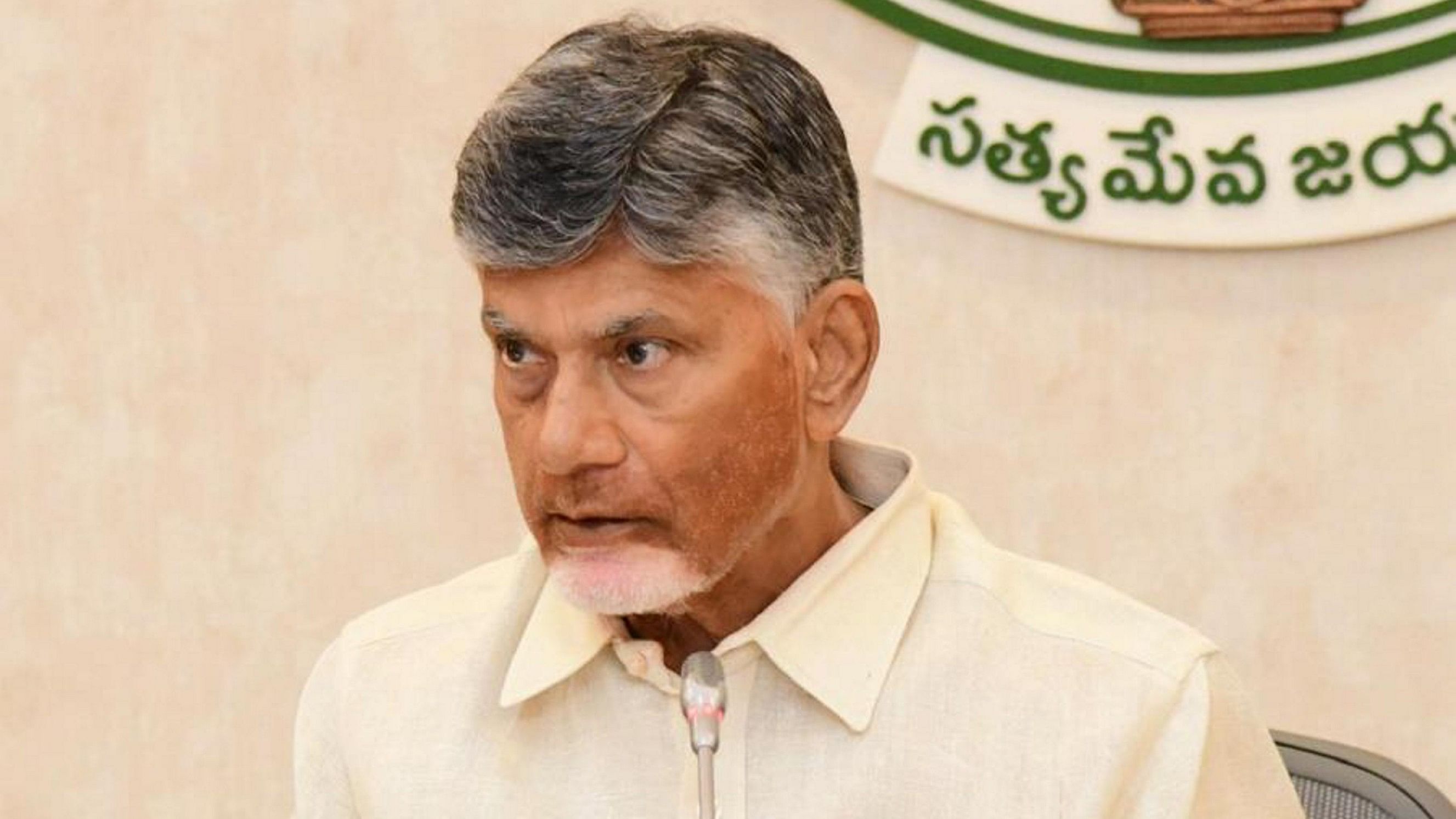 <div class="paragraphs"><p>Andhra Pradesh Chief Minister N. Chandrababu Naidu</p></div>