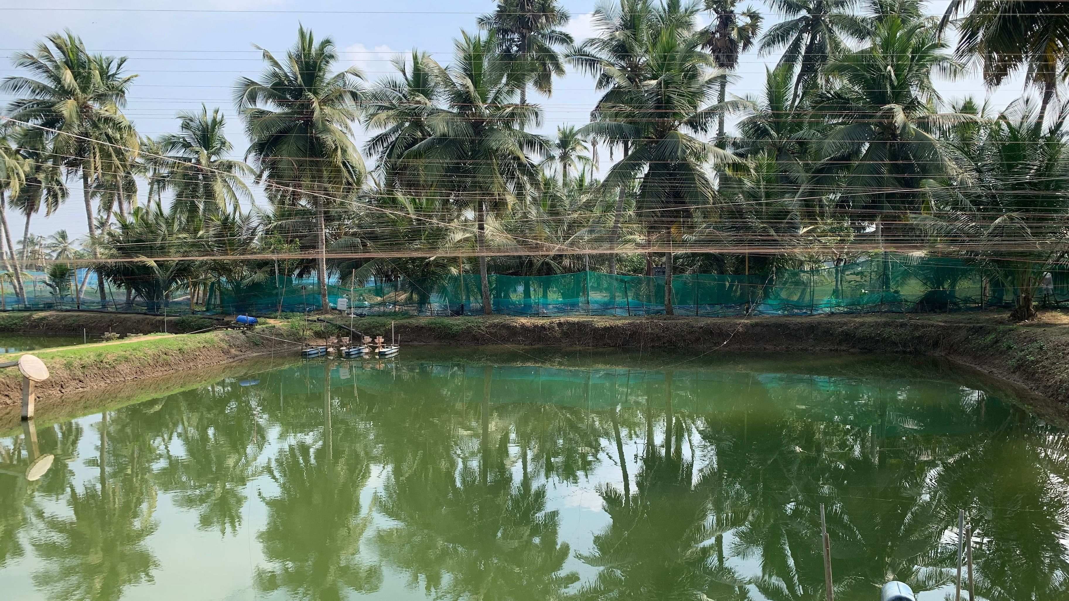 A team of officials from Karnataka visited neighbouring states to study their aquaculture model. 