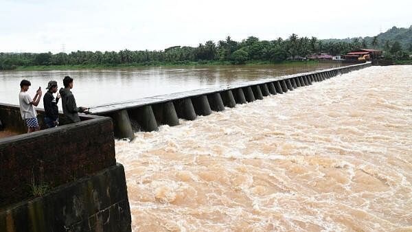 <div class="paragraphs"><p>Mangaluru's Gururupa river</p></div>