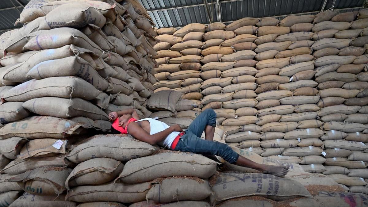 <div class="paragraphs"><p> A labourer takes a nap on sacks at FCI godown.</p></div>