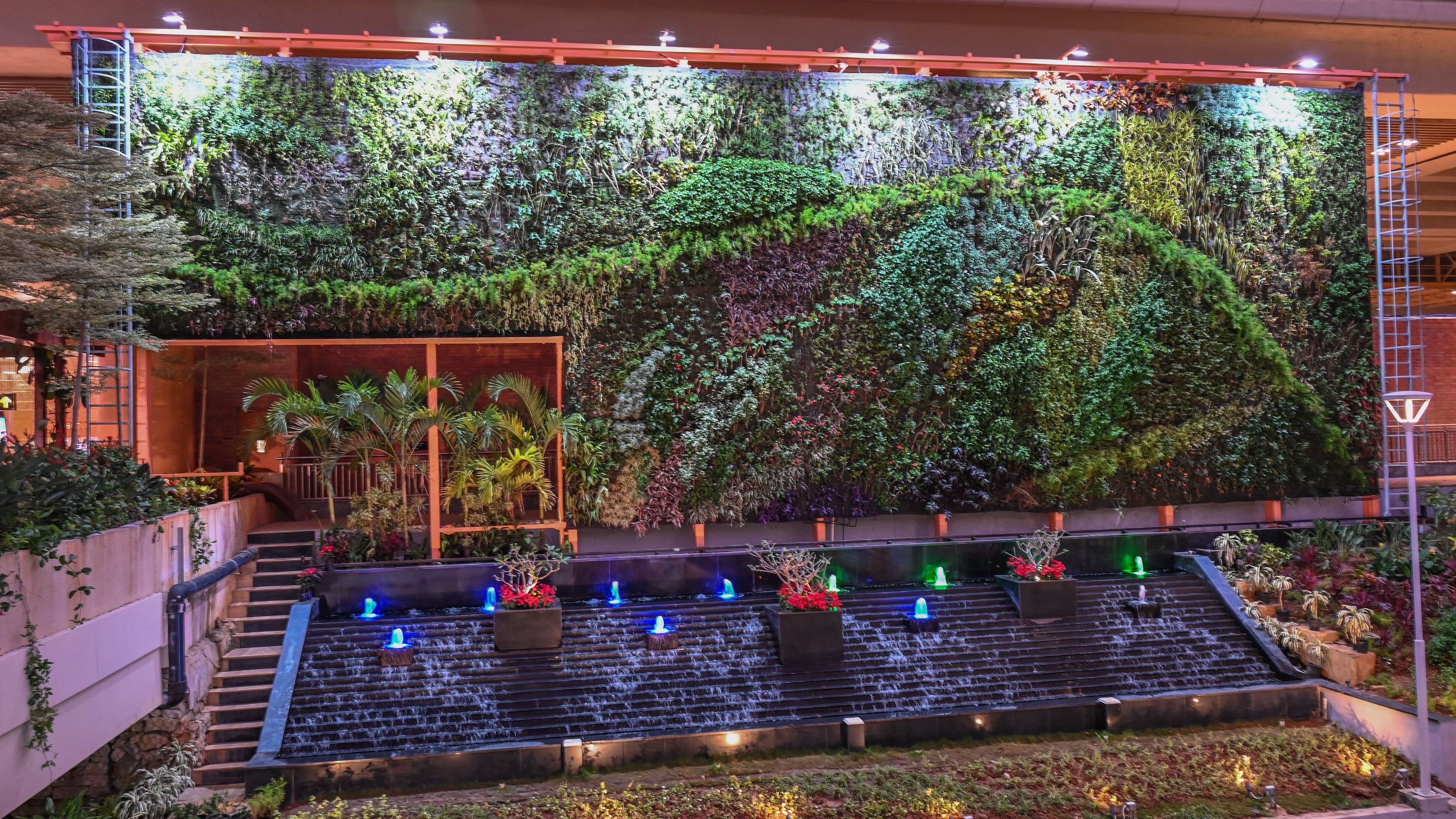 <div class="paragraphs"><p>The innovative vertical garden, "Tiger Wings", was unveiled at KIA's Terminal 2 on Thursday.&nbsp;</p></div>