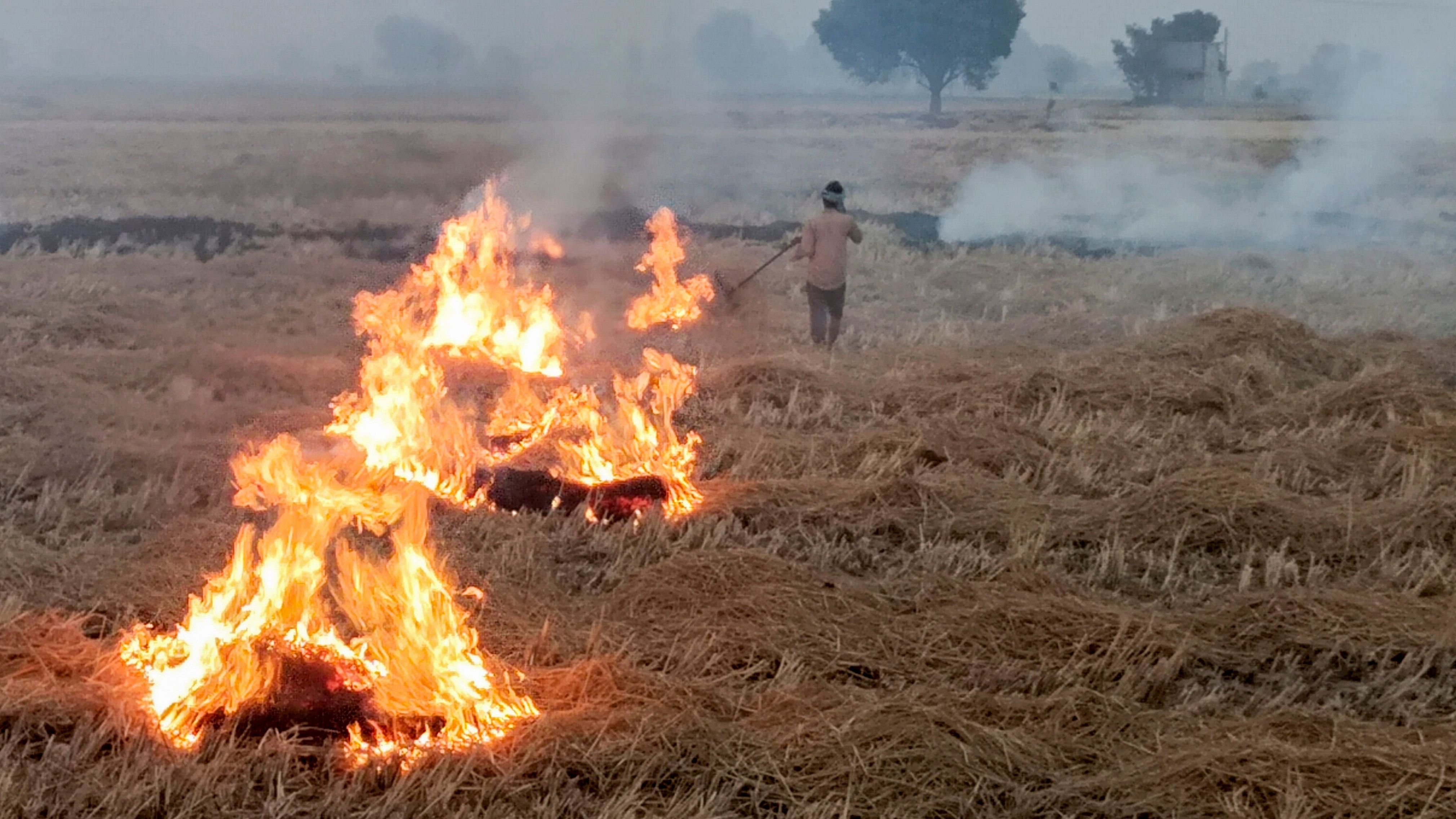 <div class="paragraphs"><p>A farmer burns paddy stubbles at a field on the outskirts of Amritsar,</p></div>