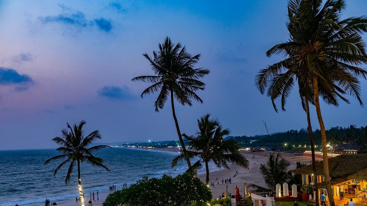 <div class="paragraphs"><p>According to the department, Goa saw over 8 million domestic visitors in 2023.</p></div>