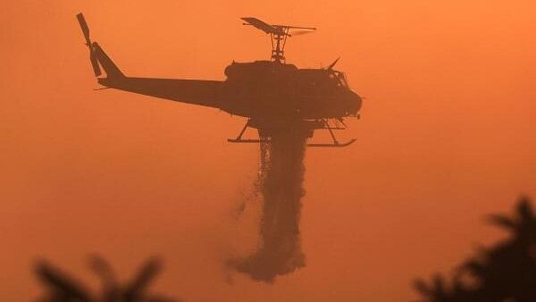 <div class="paragraphs"><p>A firefighting helicopter drops fire retardant, as the Mountain Fire burns, in Santa Paula, U.S., November 7, 2024.</p></div>