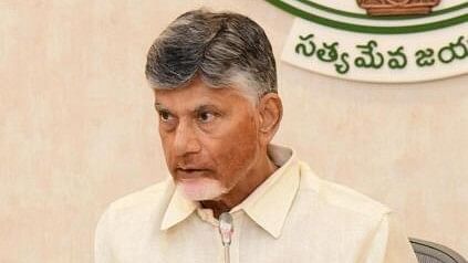 <div class="paragraphs"><p>Andhra Pradesh Chief Minister N Chandrababu Naidu.</p></div>