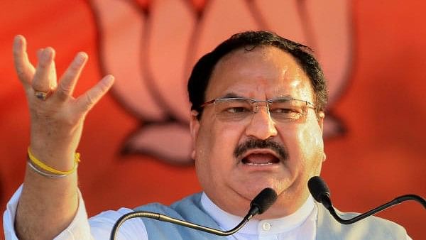 <div class="paragraphs"><p>BJP Working President JP Nadda</p></div>