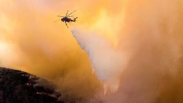 <div class="paragraphs"><p>A helicopter makes a water drop over a wildfire in the Angeles National Forest during the Bobcat Fire in Los Angeles.</p></div>