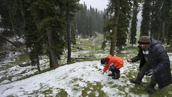 <div class="paragraphs"><p>Tourists play with snow during snowfall at Gulmarg in Baramulla district. Representative image.</p></div>