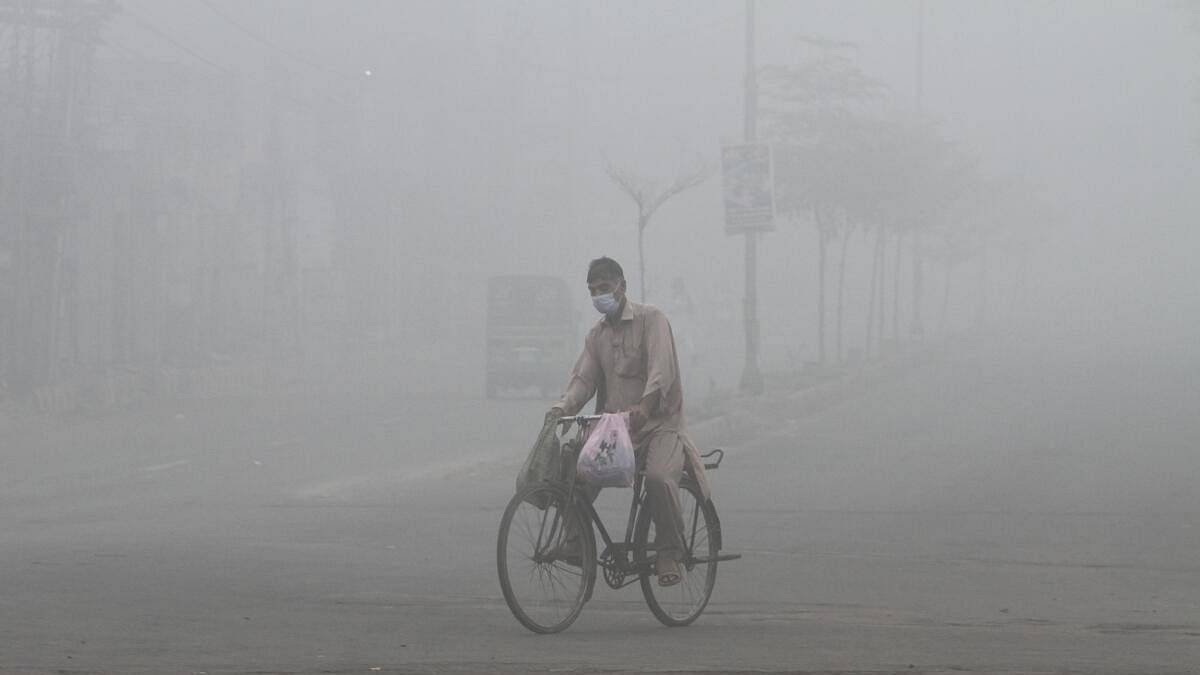 <div class="paragraphs"><p>Man wears a mask to avoid smog while he rides on a bicycle along a road in Multan.</p></div>