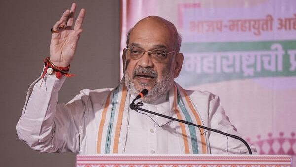 <div class="paragraphs"><p>Union Minister and BJP leader Amit Shah</p></div>