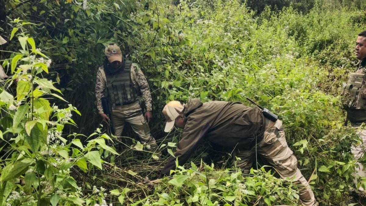 <div class="paragraphs"><p>Security personnel during a search operation and area domination in the vulnerable areas of hill and valley districts of Manipur. </p></div>