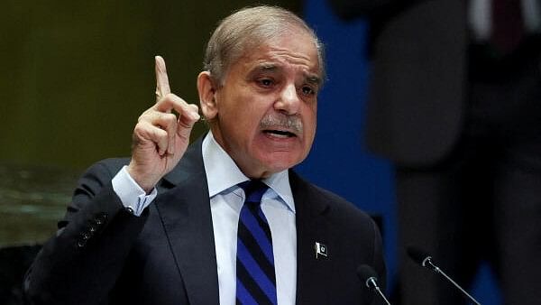 <div class="paragraphs"><p>Pakistan's Prime Minister Shehbaz Sharif.</p></div>