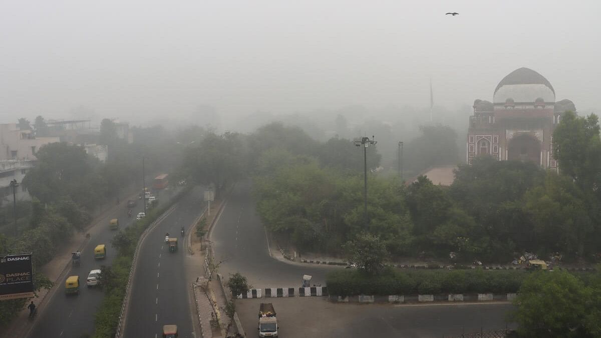 <div class="paragraphs"><p>Vehicles ply on the road amid fog, near Akshardham, in New Delhi, Wednesday, November 13, 2024.</p></div>