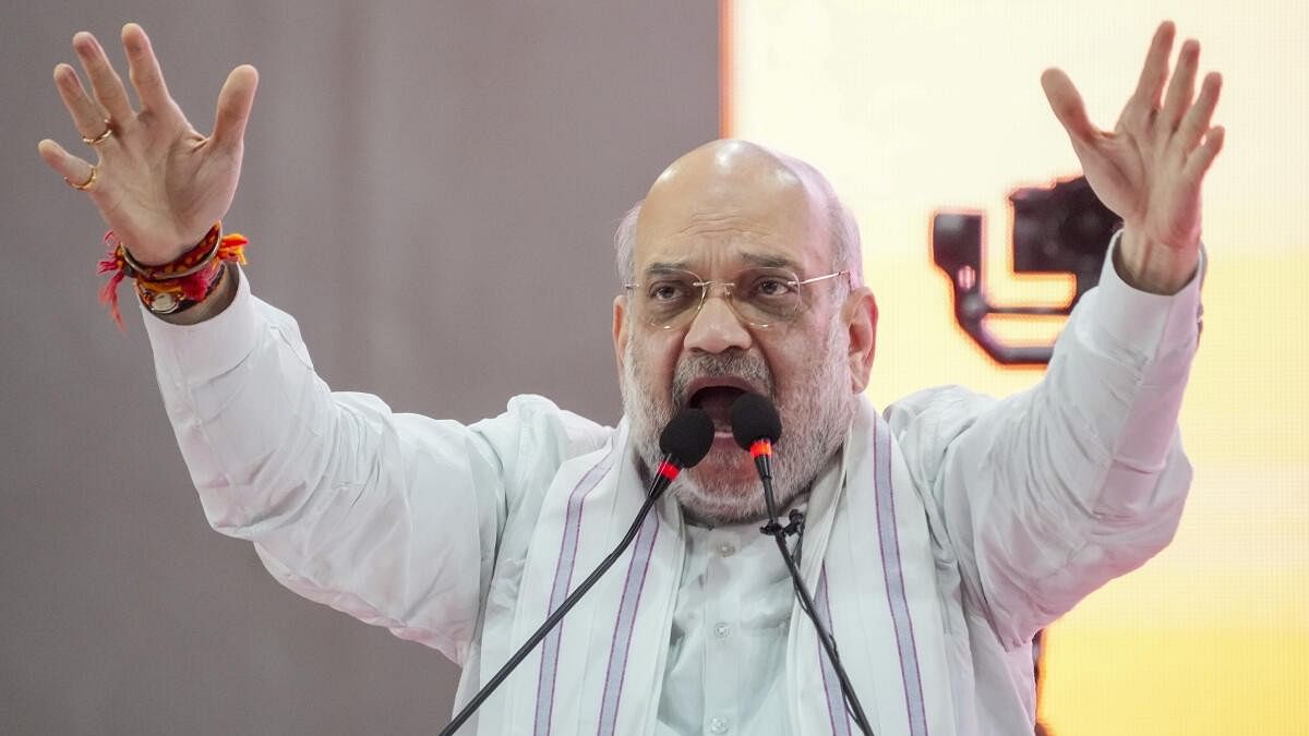 <div class="paragraphs"><p>Union Home Minister Amit Shah addresses a public meeting ahead of the Maharashtra Assembly elections, in Mumbai.</p></div>