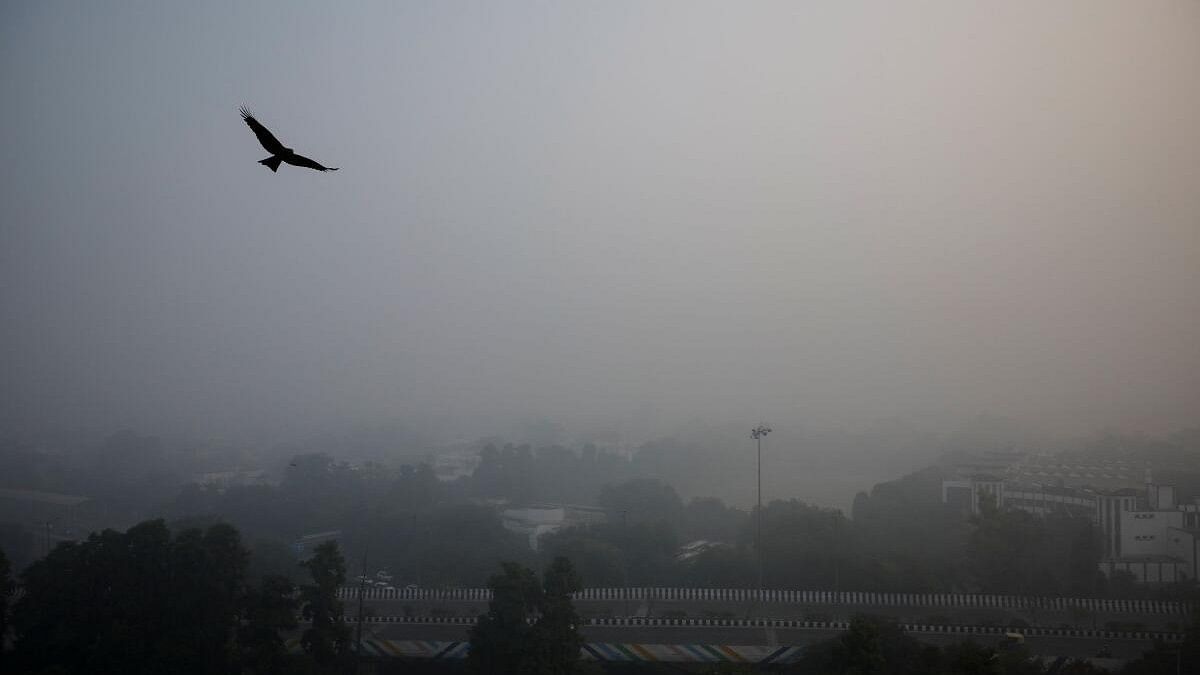 <div class="paragraphs"><p>raffic passes by on a road as the sky is enveloped with smog after Delhi's air quality was classified as "hazardous" amidst severe air pollution, in New Delhi.</p></div>