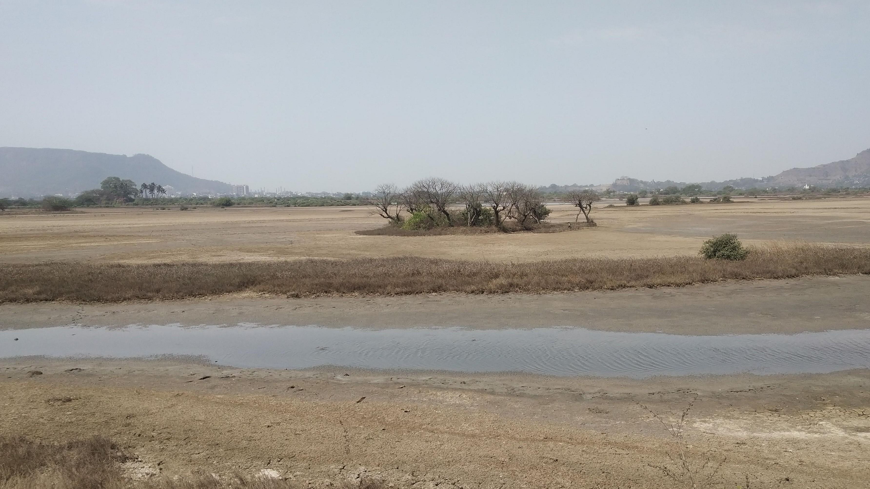 <div class="paragraphs"><p>Panje wetland goes dry </p></div>