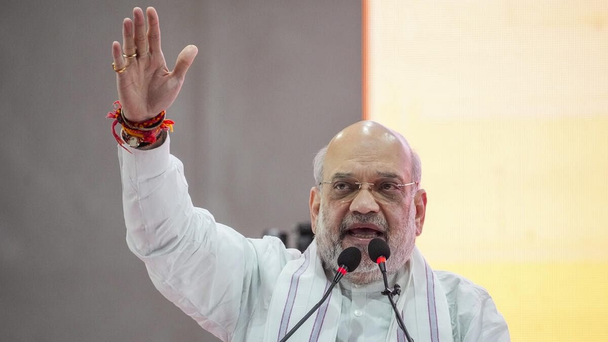 <div class="paragraphs"><p>Union Home Minister Amit Shah </p></div>