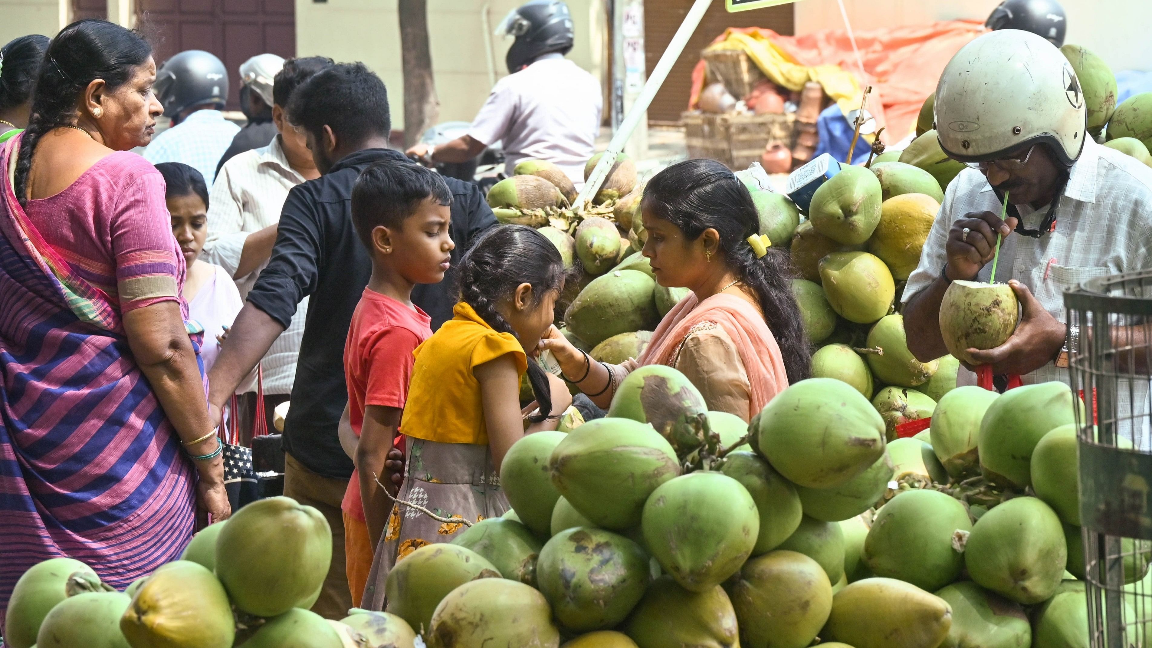 <div class="paragraphs"><p>Tender coconuts being sold in Basavanagudi, Bengaluru. </p></div>