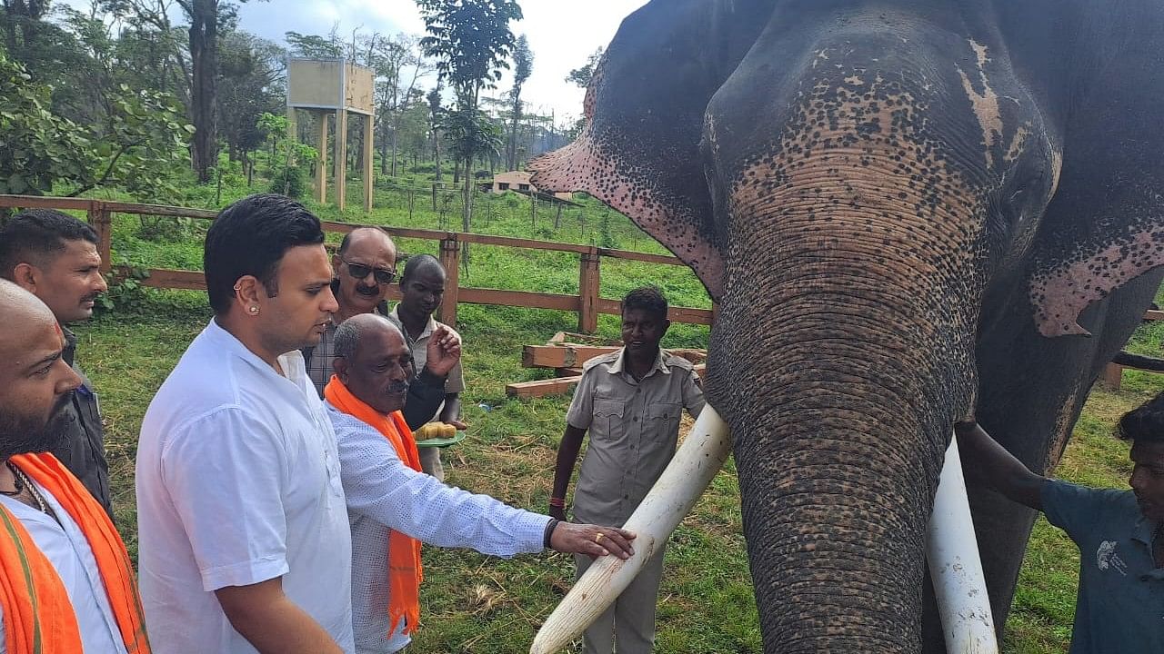 <div class="paragraphs"><p>Mysore-Kodagu MP Yaduveer Krishnadatta Chamaraja Wadiyar visits Dubare elephant camp in Kushalnagar on Friday.</p></div>