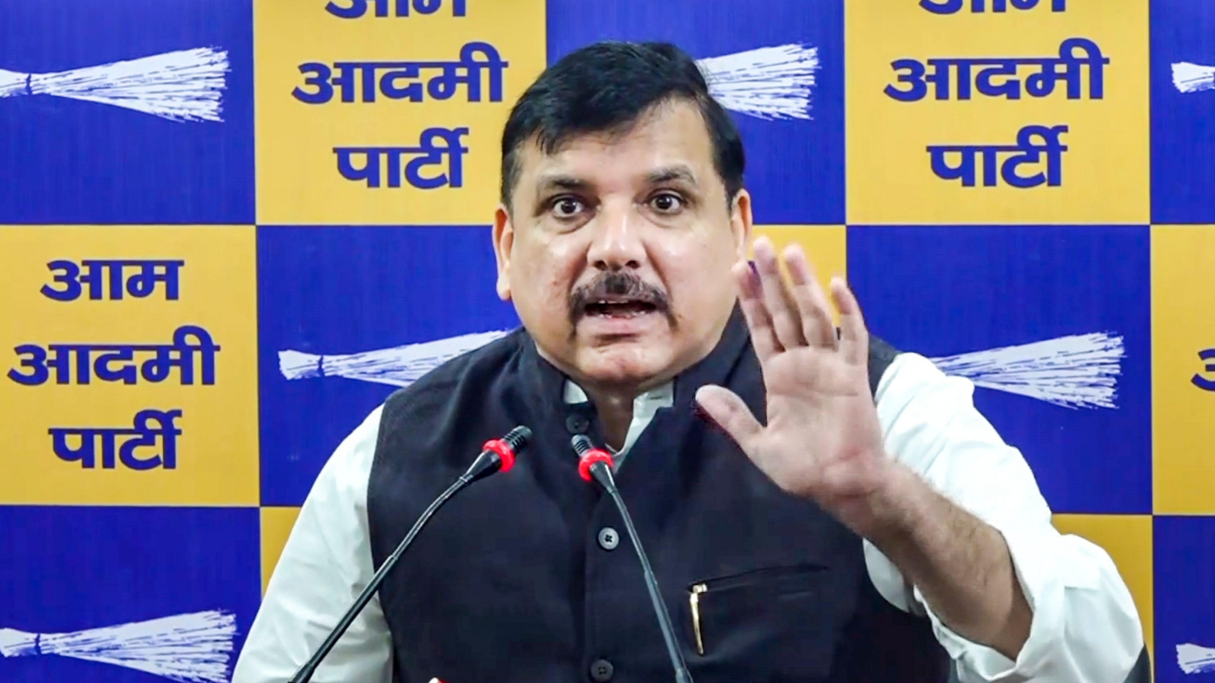 <div class="paragraphs"><p>AAP MP Sanjay Singh.</p></div>