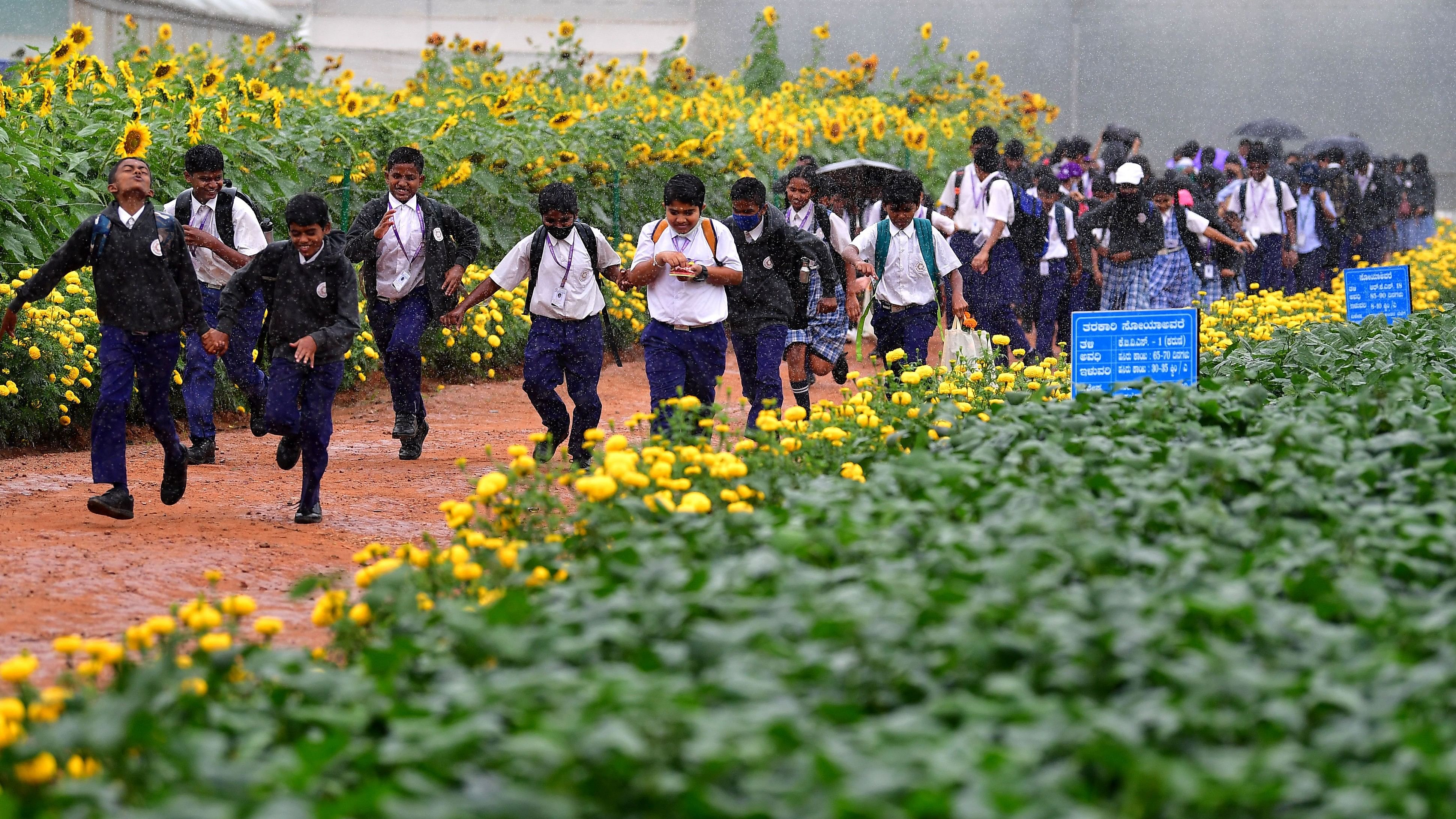 <div class="paragraphs"><p>Students enjoy the drizzle and the attractions at Krishi Mela-2024 at the Gandhi Krishi Vignan Kendra (GKVK) campus in Bengaluru on Thursday. </p></div>