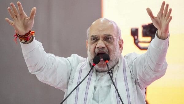 <div class="paragraphs"><p>Union Home Minister and BJP’s chief strategist Amit Shah</p></div>