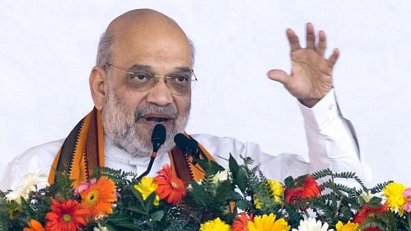 <div class="paragraphs"><p>Union Home Minister Amit Shah</p></div>