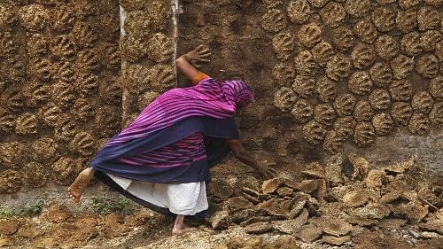 <div class="paragraphs"><p>A woman pastes cow dung cakes on a wall for drying. Representative image.</p></div>