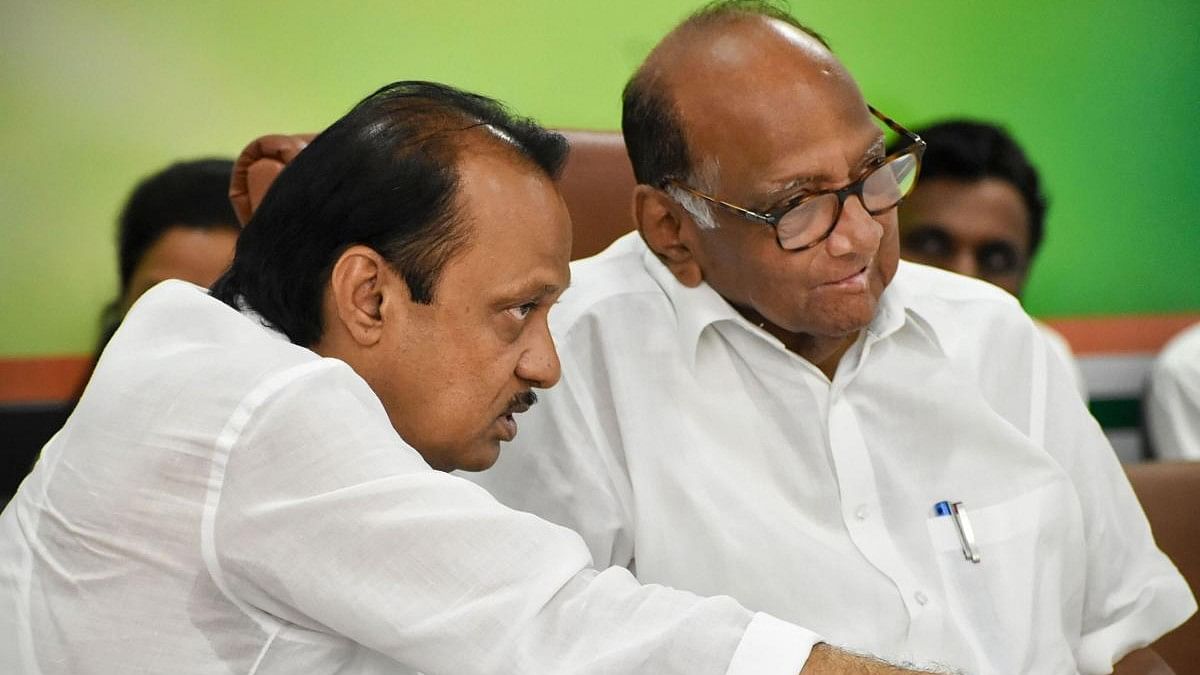 <div class="paragraphs"><p>File photo of Sharad Pawar with  Ajit Pawar.</p></div>