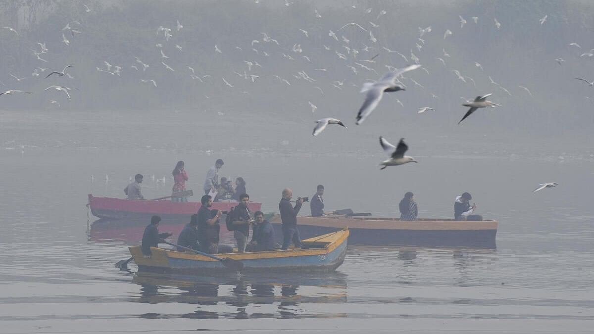 <div class="paragraphs"><p>A flock of Seagulls flies over people during a boat ride amid smog on a winter morning, in New Delhi, Sunday.</p></div>