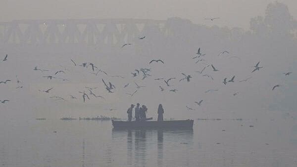 <div class="paragraphs"><p>A flock of Siberian Seagulls flies over the Yamuna river during a foggy morning, in New Delhi, Sunday, Nov. 17</p></div>