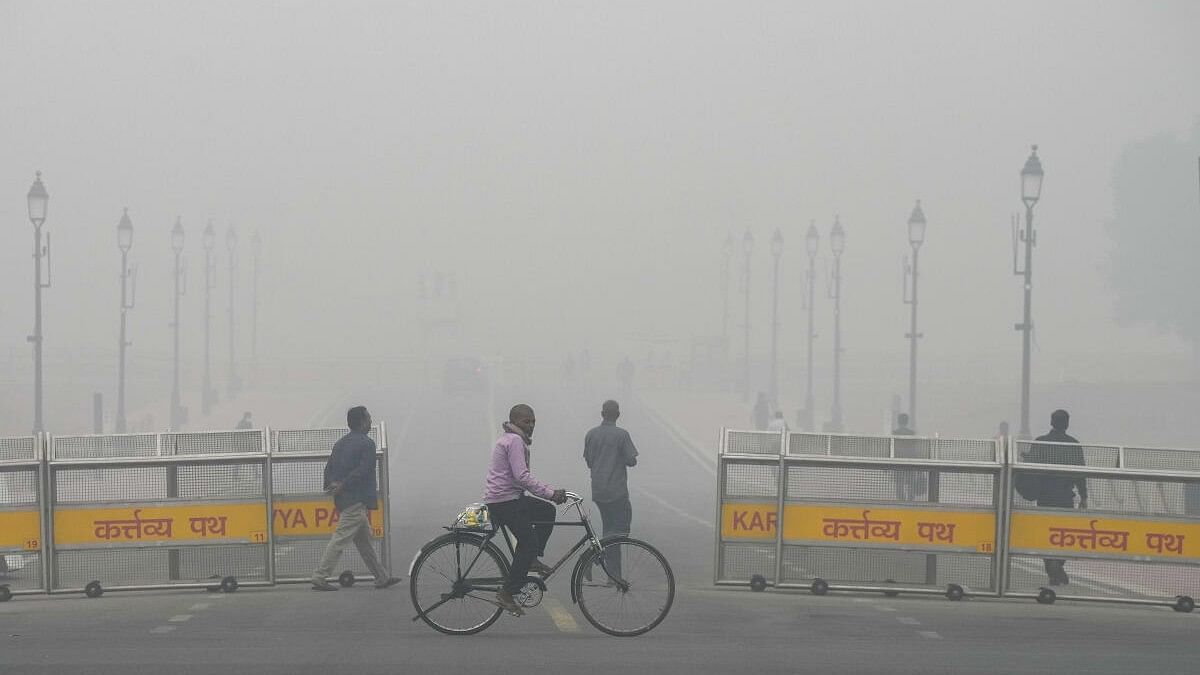 <div class="paragraphs"><p>A man cycles near the India Gate amid low visibility due to smog as air quality remains in 'severe' category, in New Delhi, Monday, Nov. 18, 2024.</p></div>