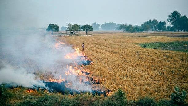 <div class="paragraphs"><p>Representative image of farm fire.</p></div>