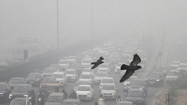 <div class="paragraphs"><p>Delhi's Air Quality Index (AQI) worsened on Monday, reaching 494 at 4 pm.</p></div>