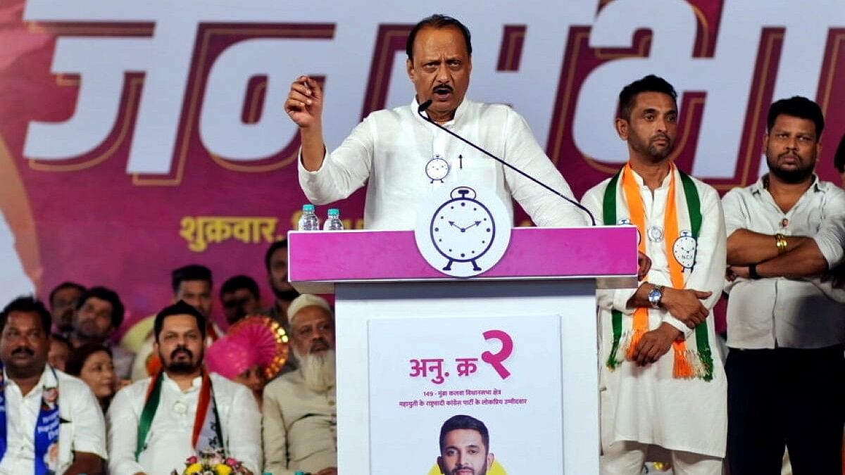 <div class="paragraphs"><p>Maharashtra Deputy Chief Minister and NCP leader Ajit Pawar addresses a public meeting for the State Assembly elections.</p></div>