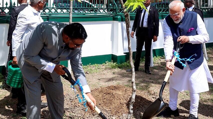 <div class="paragraphs"><p>Prime Minister Narendra Modi and President of Guyana Mohamed Irfaan Ali plant a sapling under the ‘Ek Ped Maa Ke Naam’ initiative, in Georgetown, Guyana, Wednesday, Nov. 20, 2024.</p></div>