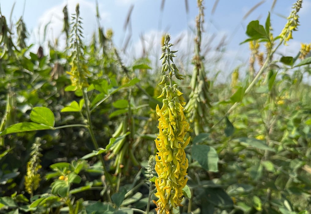 Apple iPhone 16 Pro Max: Key camera features you should know