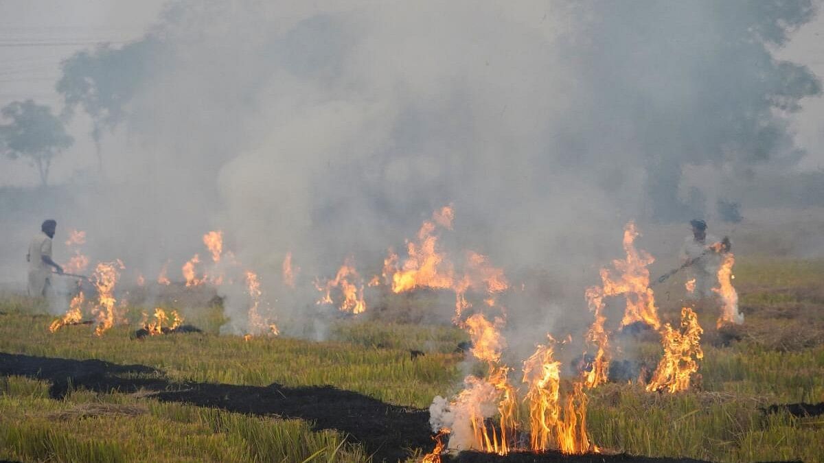 <div class="paragraphs"><p>Farmers burn stubble on a rice field amid the ongoing air pollution at Mansa in Punjab.</p></div>