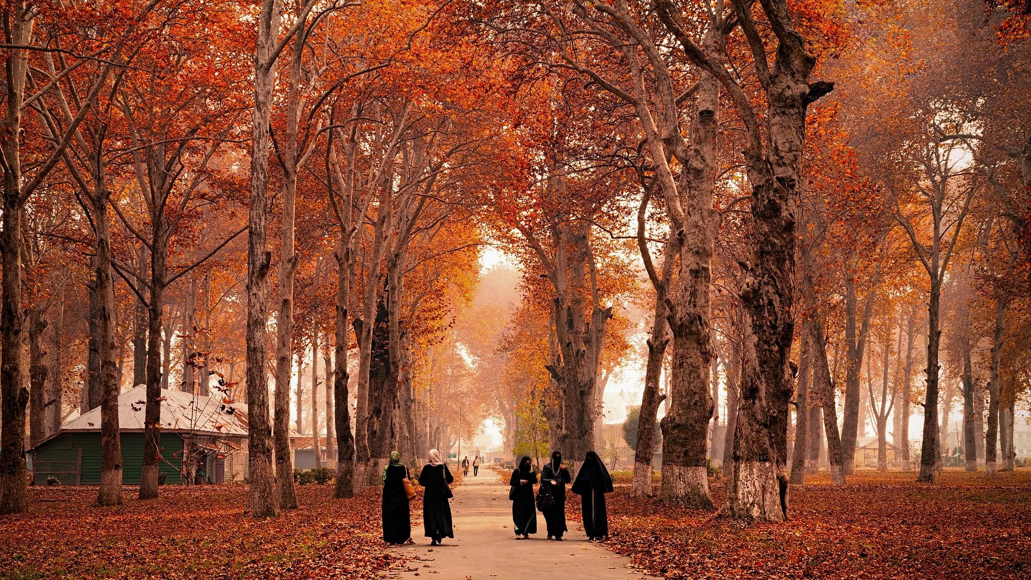 <div class="paragraphs"><p>Kashmiri women walk in the Kashmir University Campus. For representational purposes.</p></div>