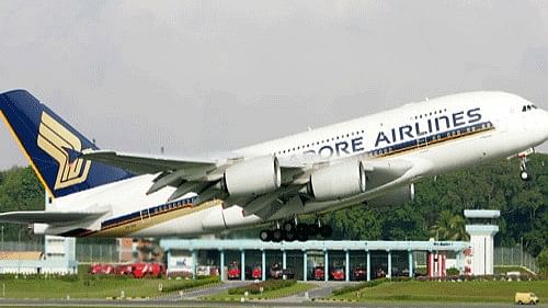 <div class="paragraphs"><p>A Singapore Airlines (SIA) flight. Representative image</p></div>