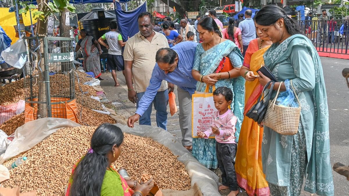 <div class="paragraphs"><p>People purchase groundnut in Bengaluru Historical Kadalekai parishe (Kadlekai Parishe -Groundnut festival, peanuts festival), at Bull Temple in Basavanagudi, Bengaluru on Monday. 25th November 2024. </p></div>