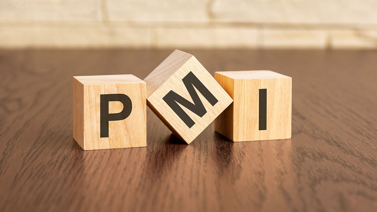 India's services sector ended 2024 on a strong footing, PMI shows