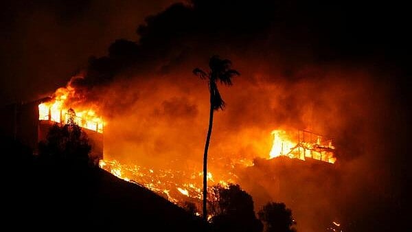 New wildfire breaks out in LA's Hollywood Hills, says fire chief