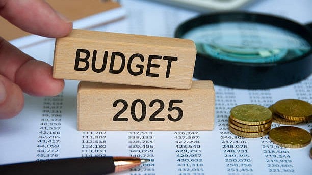 Union Budget 2025 | Centre likely to raise major subsidies by 8% to Rs 4 lakh crore in next fiscal