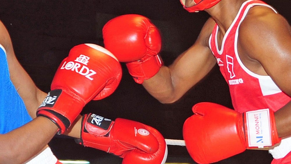 World Boxing Steps In: Interim Panel to Oversee BFI, Ensure Fair Elections