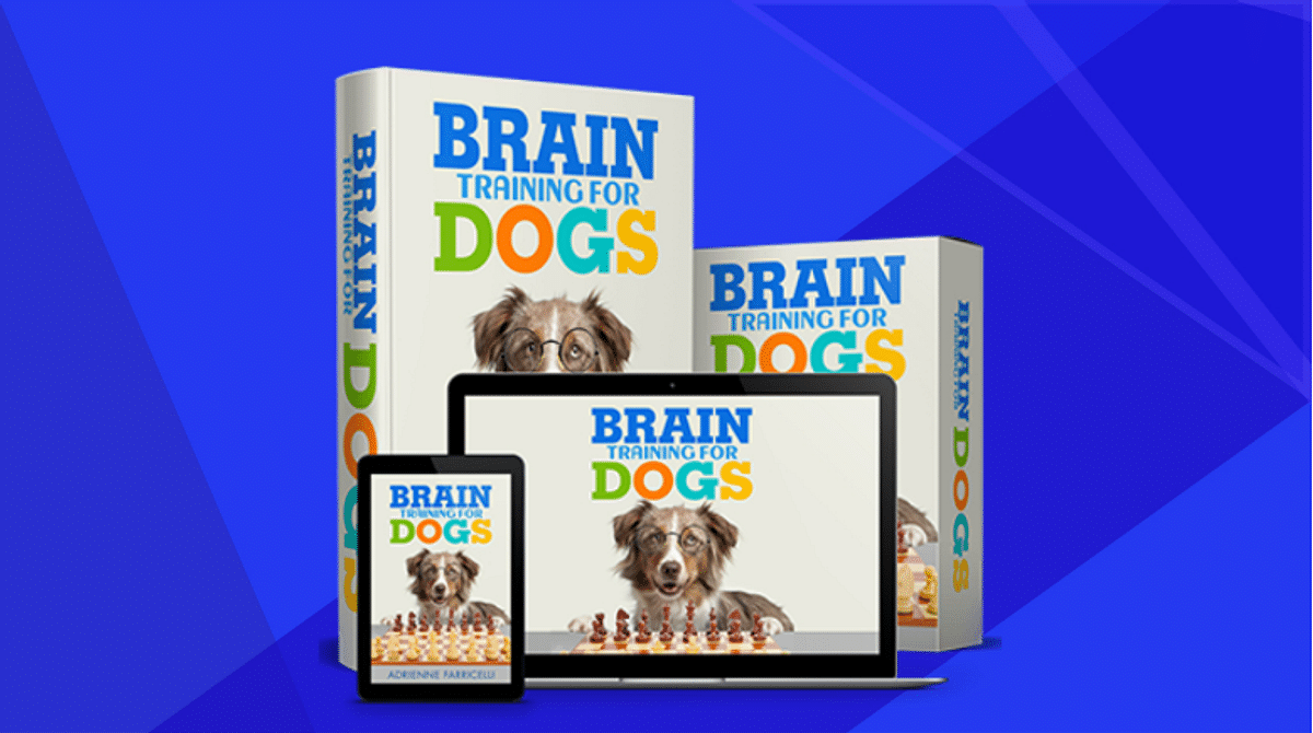 Brain Training for Dogs Review: Was it Worth My Money? - Shepherd Sense