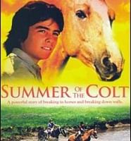 Summer Of The Colt