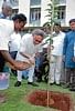 Union Forest Minister Jairam Ramesh planting a sapling at Aranya Bhavan in Bangalore on Wednesday. KPN