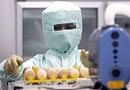 A scientist works on developing the H1N1 (Influenza A) vaccine inside a lab at Sillapakorn University on the outskirts of Bangkok on Sunday. Reuters